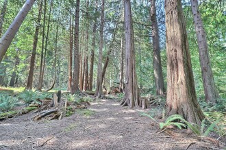 Additional image 4 of 6375 St Johns Point Rd