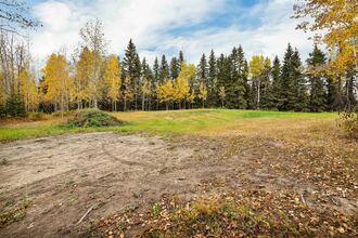 Additional image 5 of 14021 Highway 53