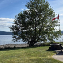 Additional image 4 of 8745 Patricia Rd