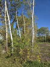 Additional image 2 of 0 Gunn Street