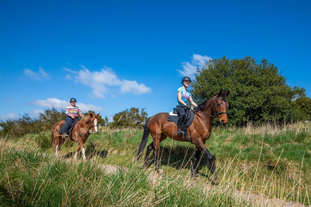 Additional image 16 of 1 Fifeshill Drive, Countesswells, Aberdeen, 
AB15 8UR