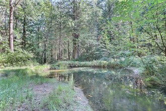 Additional image 3 of 6375 St Johns Point Rd