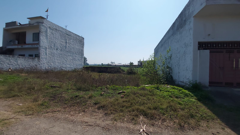 Property image for Kartarpur, Jalandhar