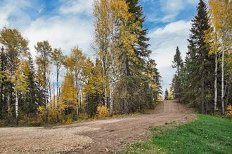 Additional image 5 of 14021 Highway 53