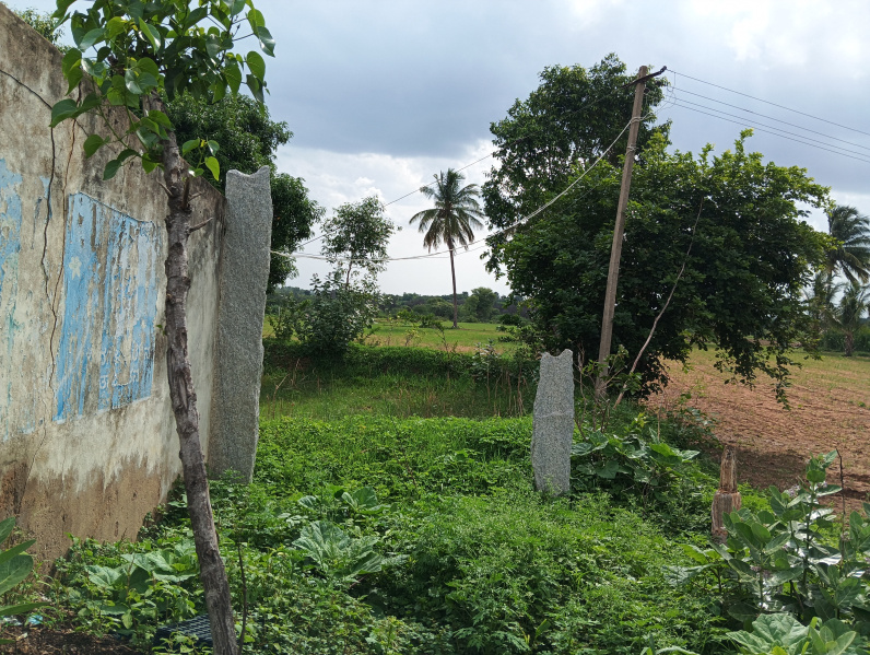 Additional image 2 of Chikkaballapur, Bangalore