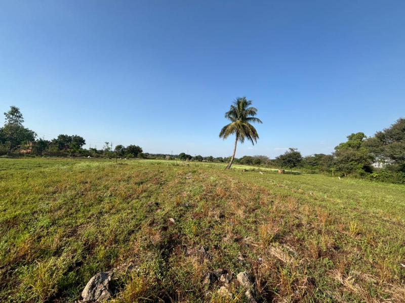 Primary image of Deolali, Nashik