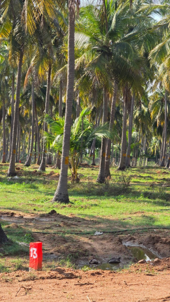 Property image for Kochadai, Madurai
