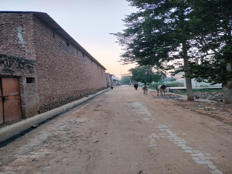 Additional image 3 of Palwal, Faridabad