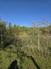 Additional image 4 of 0 Gunn Street