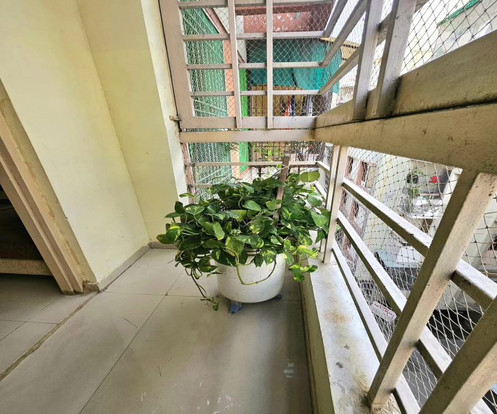 Additional image 3 of New Karelibaug, Vadodara