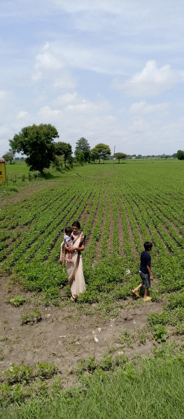 Property image for Sanwer, Indore
