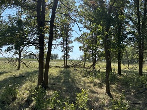 Additional image 5 of SE 10-19-1E