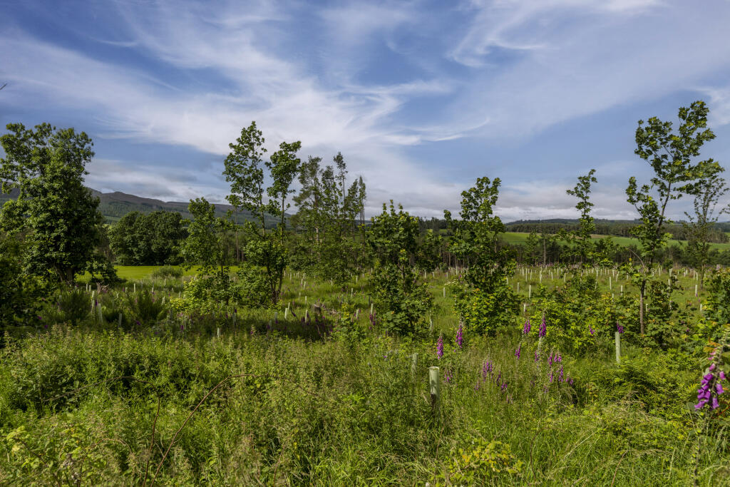 Additional image 18 of Logie Woodlands, Pitcaple, Inverurie, AB51 5EE