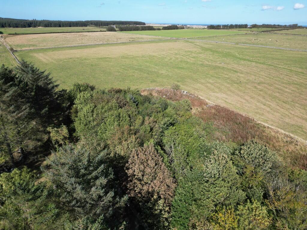 Additional image 11 of Land at Craighill, Strichen