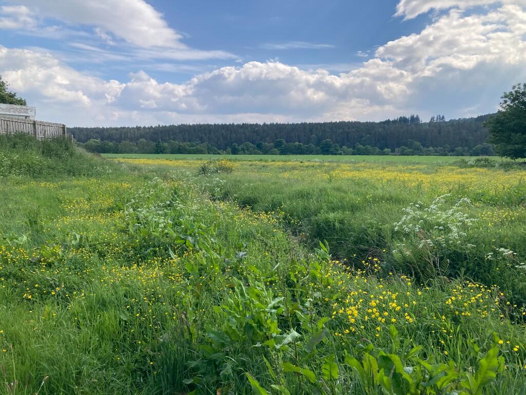 Property image for Land at North Deeside Road, Kincardine O'Neil