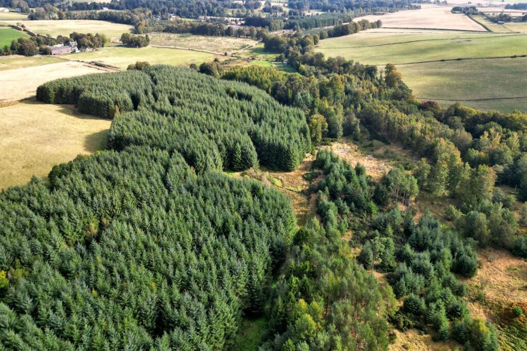Additional image 22 of Sittyton Woodland & Paddock, Newmachar