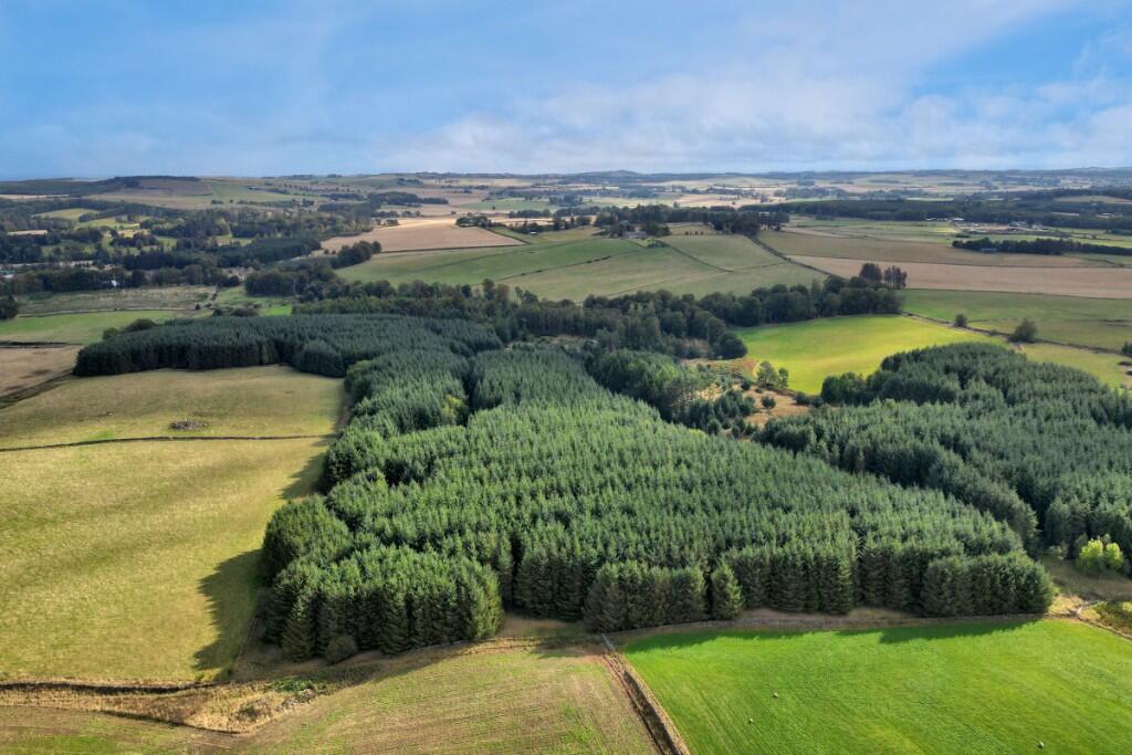 Additional image 11 of Sittyton Woodland & Paddock, Newmachar