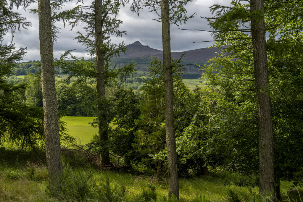 Additional image 20 of Logie Woodlands, Pitcaple, Inverurie, AB51 5EE