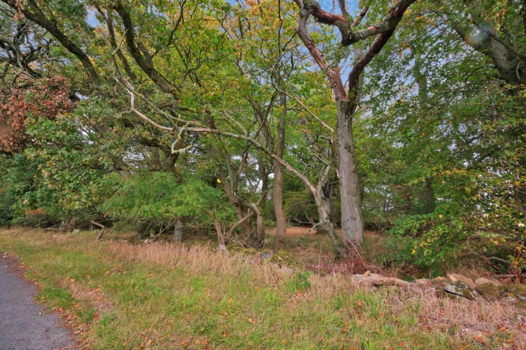 Additional image 17 of Sittyton Woodland & Paddock, Newmachar