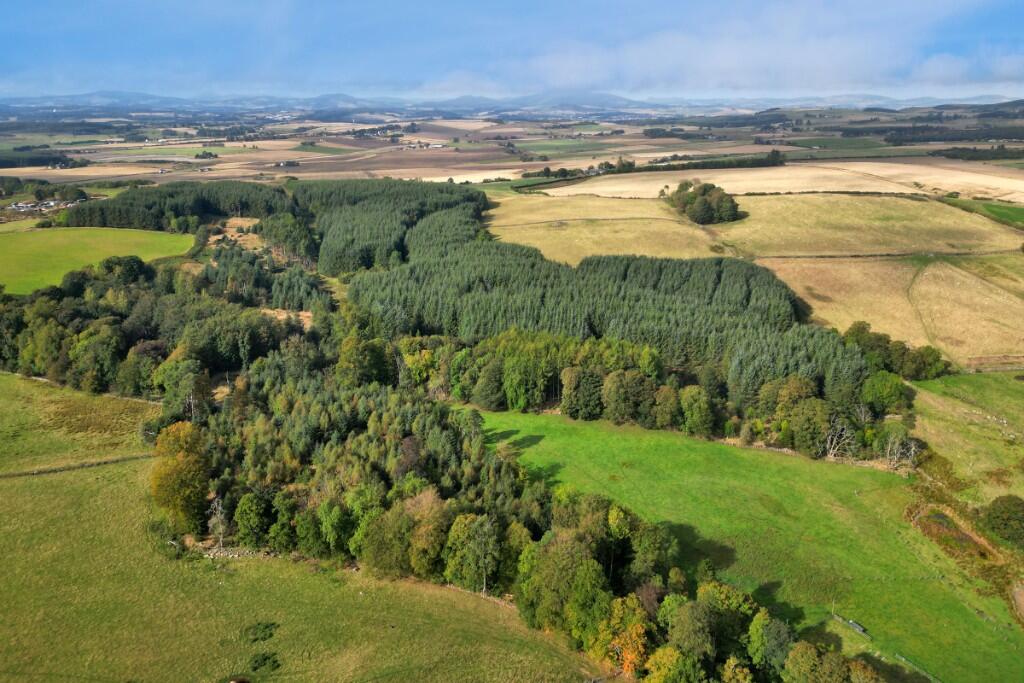 Additional image 6 of Sittyton Woodland & Paddock, Newmachar