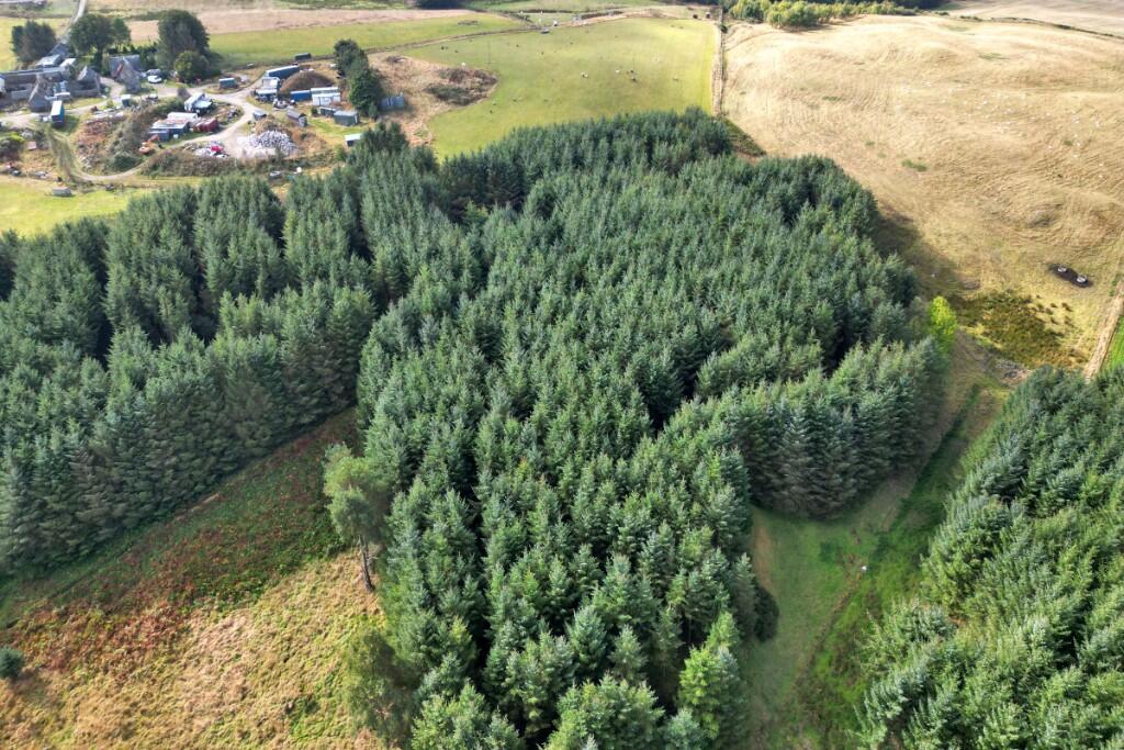 Additional image 9 of Sittyton Woodland & Paddock, Newmachar