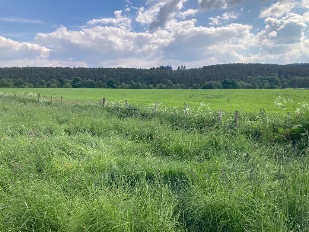 Additional image 4 of Land at North Deeside Road, Kincardine O'Neil