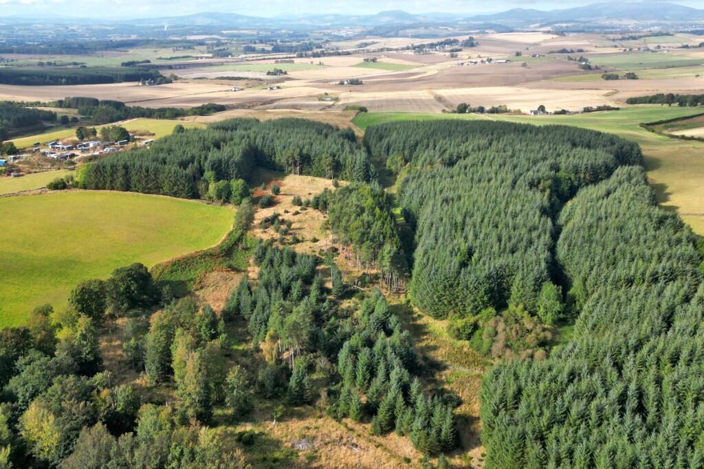Additional image 7 of Sittyton Woodland & Paddock, Newmachar