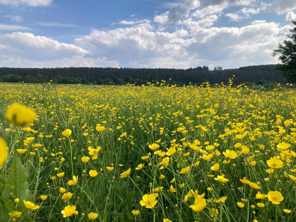 Additional image 5 of Land at North Deeside Road, Kincardine O'Neil