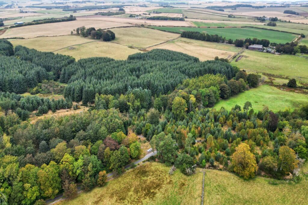 Additional image 4 of Sittyton Woodland & Paddock, Newmachar