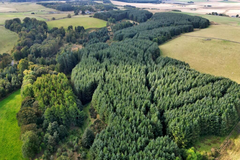 Additional image 10 of Sittyton Woodland & Paddock, Newmachar