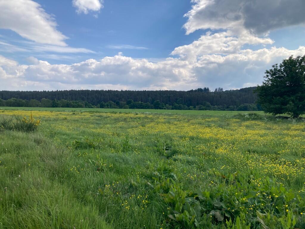 Additional image 2 of Land at North Deeside Road, Kincardine O'Neil