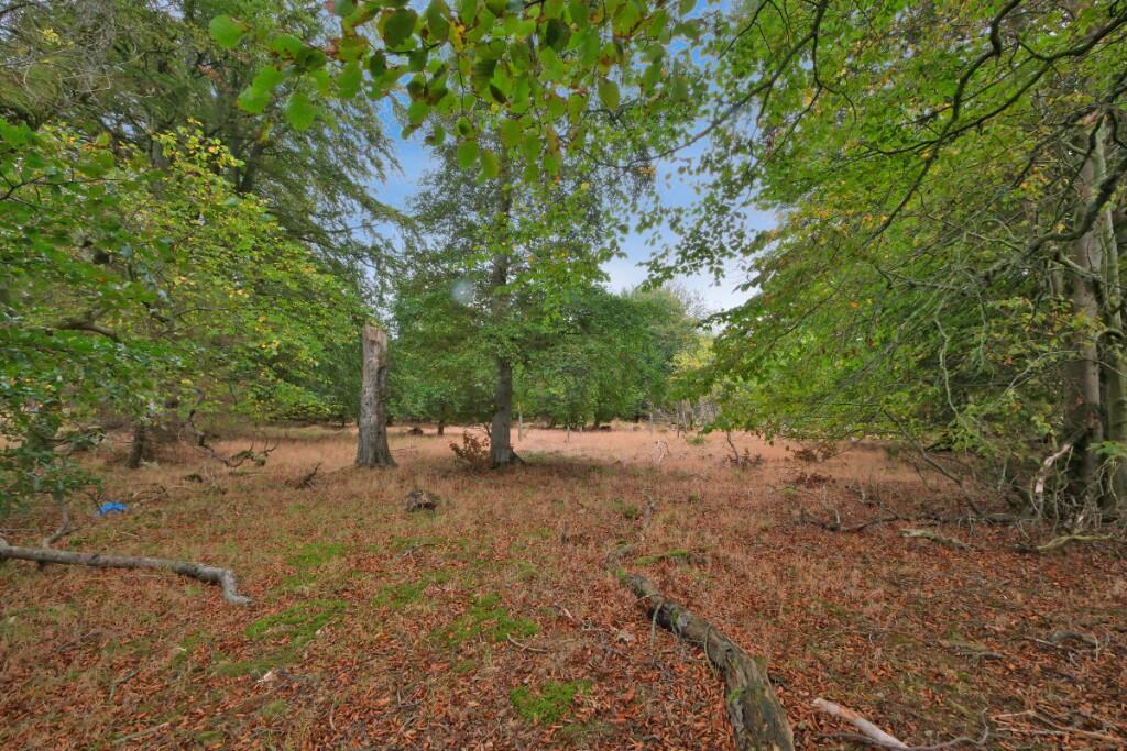 Additional image 16 of Sittyton Woodland & Paddock, Newmachar