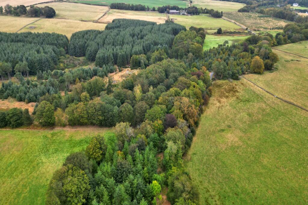 Additional image 3 of Sittyton Woodland & Paddock, Newmachar