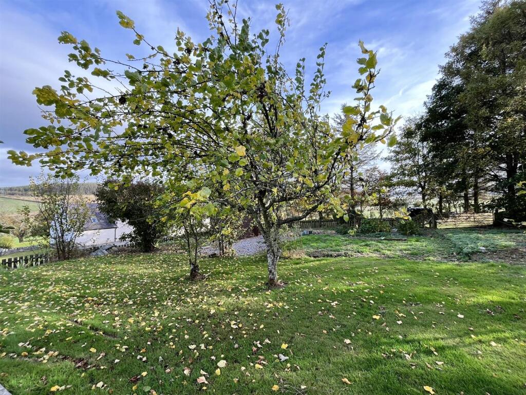 Additional image 25 of Auchanhandoch, Dufftown