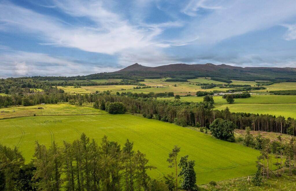 Additional image 21 of Logie Woodlands, Pitcaple, Inverurie, AB51 5EE