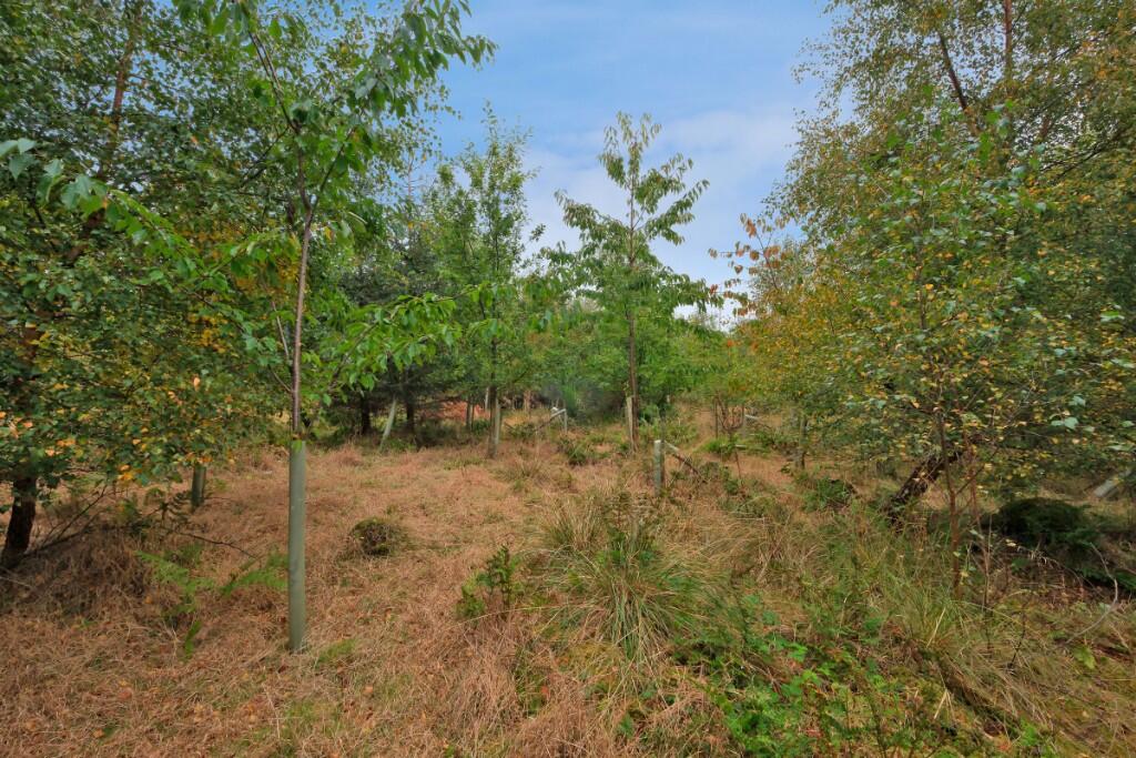 Additional image 15 of Sittyton Woodland & Paddock, Newmachar