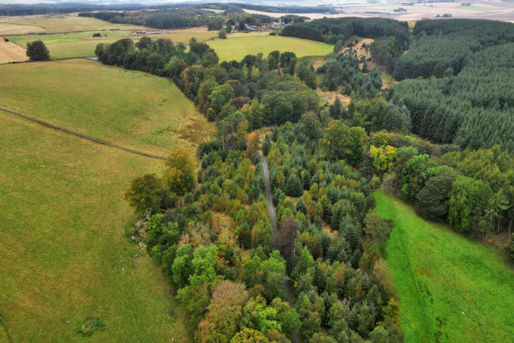 Additional image 5 of Sittyton Woodland & Paddock, Newmachar