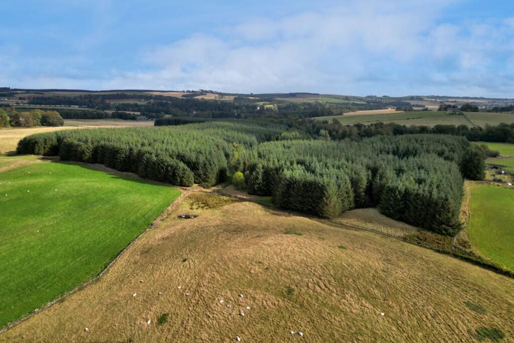 Additional image 12 of Sittyton Woodland & Paddock, Newmachar