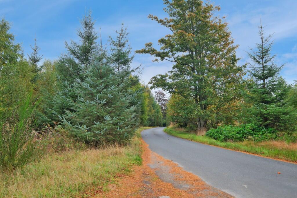 Additional image 13 of Sittyton Woodland & Paddock, Newmachar