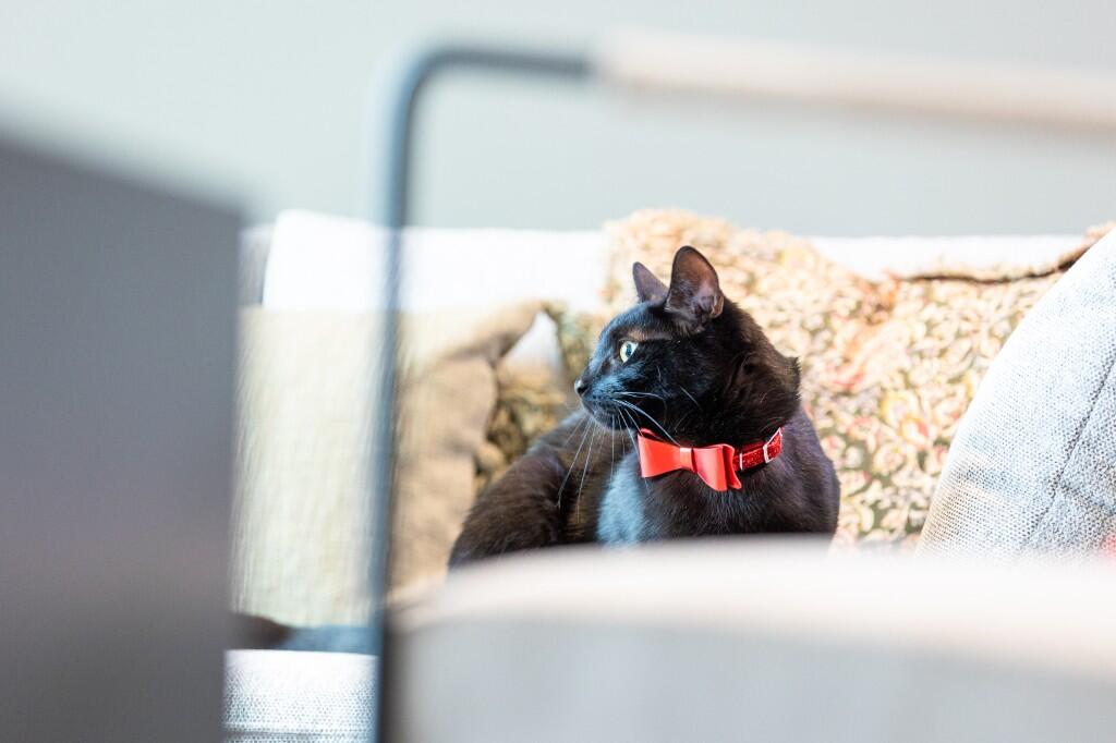 Additional image 6 of Flat 432, Hairpin House, 230 Bradford Street, Birmingham, B12