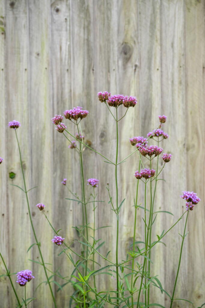 Additional image 12 of Station Road,Smallford,St. Albans,AL4 0HB