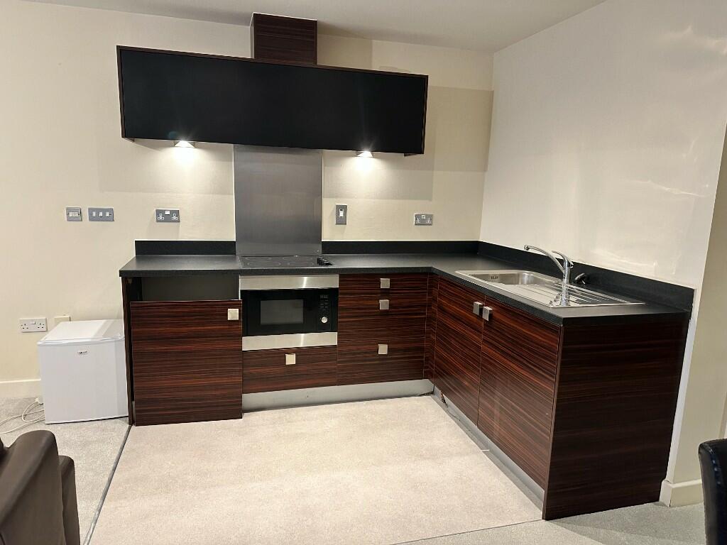 Additional image 9 of Sinope, 58 Sherborne Street, B16 8FT