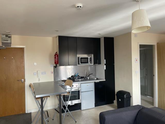 Additional image 7 of Studio 201 Burton Chambers