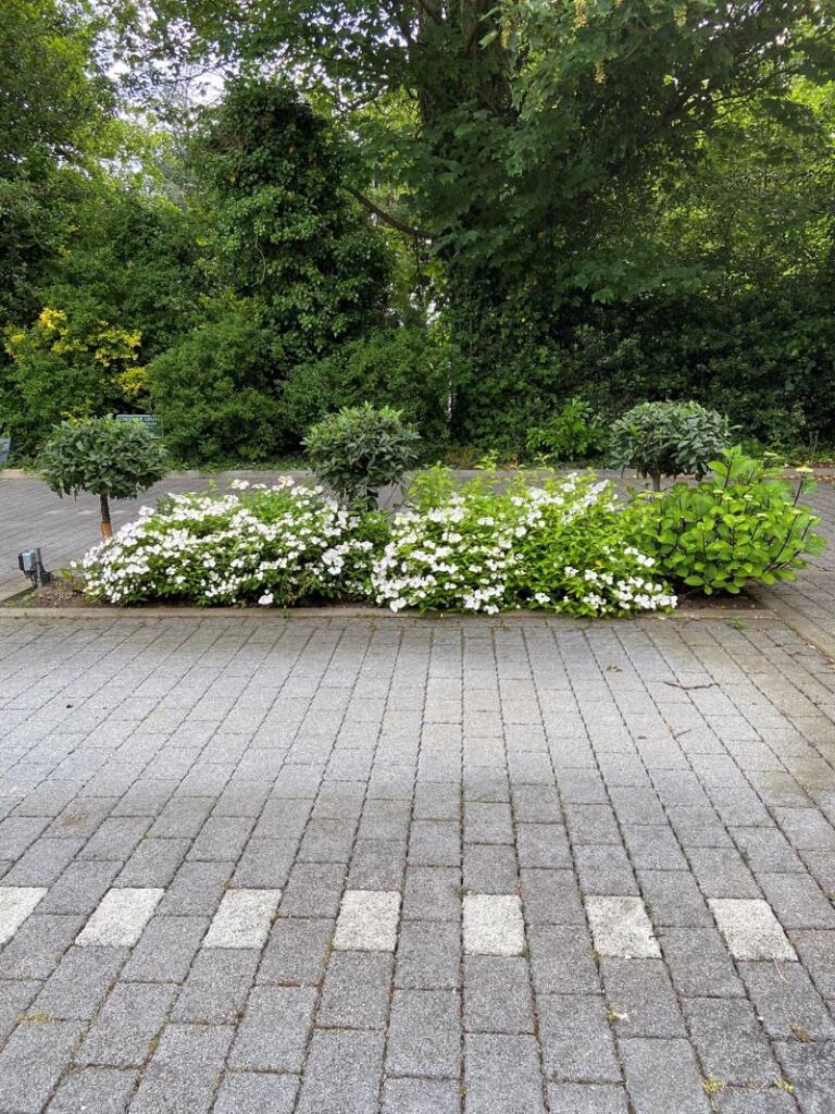 Additional image 7 of Chestnut Grove, Harborne