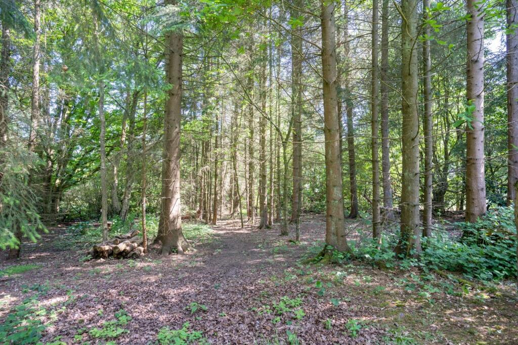 Additional image 30 of Linthurst Road, Barnt Green, B45