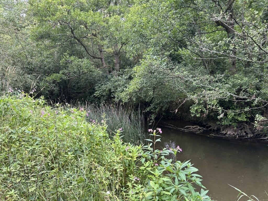 Additional image 8 of 6.079 Acres Wodland, Pelham Lane, Great Alne, Alcester