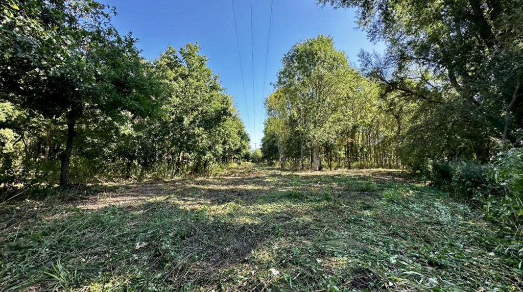 Additional image 18 of 6.079 Acres Wodland, Pelham Lane, Great Alne, Alcester