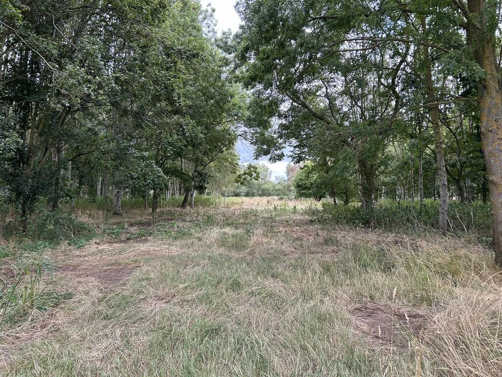 Additional image 14 of 6.079 Acres Wodland, Pelham Lane, Great Alne, Alcester