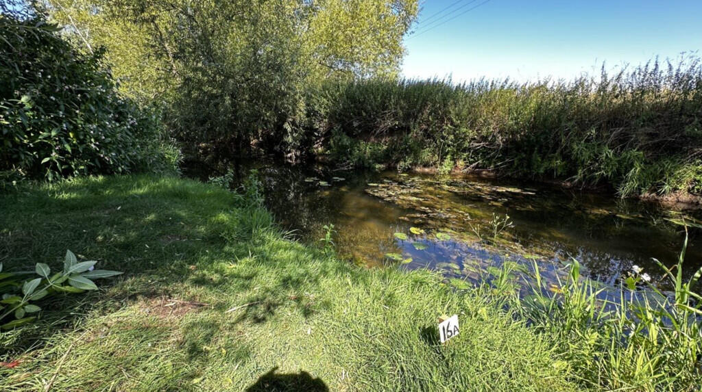 Additional image 20 of 6.079 Acres Wodland, Pelham Lane, Great Alne, Alcester