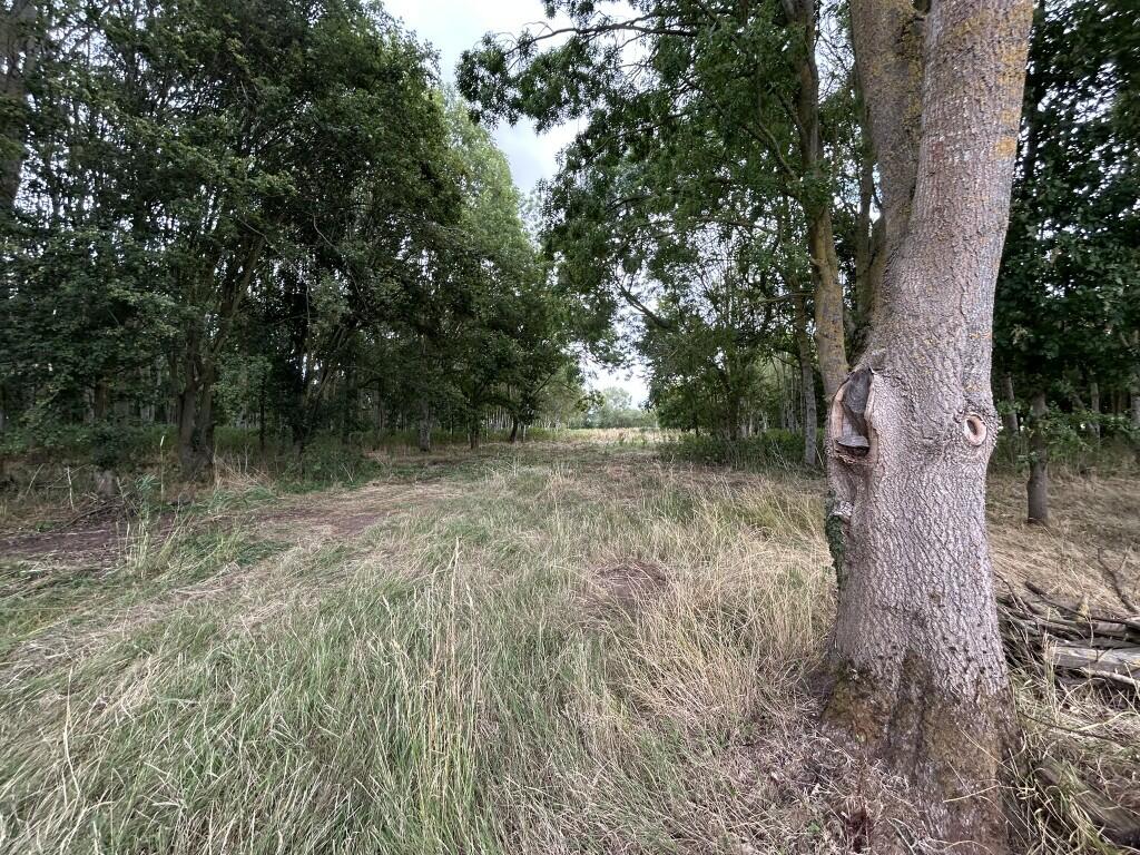 Additional image 24 of 6.079 Acres Wodland, Pelham Lane, Great Alne, Alcester